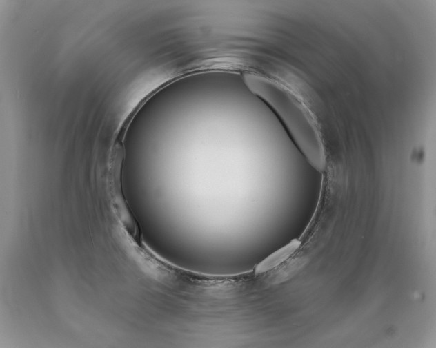 X0000089391426200706221307