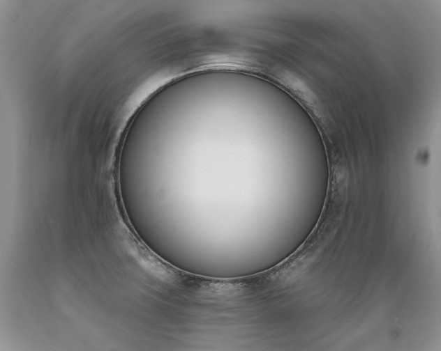 X0000089391427200706221307
