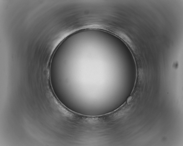 X0000089391428200706221307