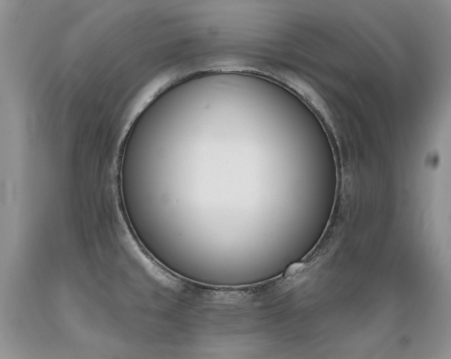 X0000089391429200706221307