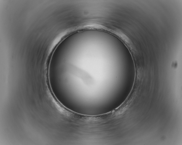 X0000089391430200706221307