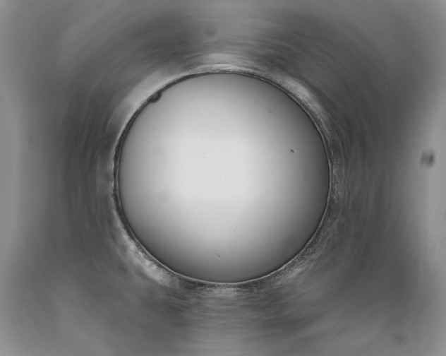 X0000089391431200706221307