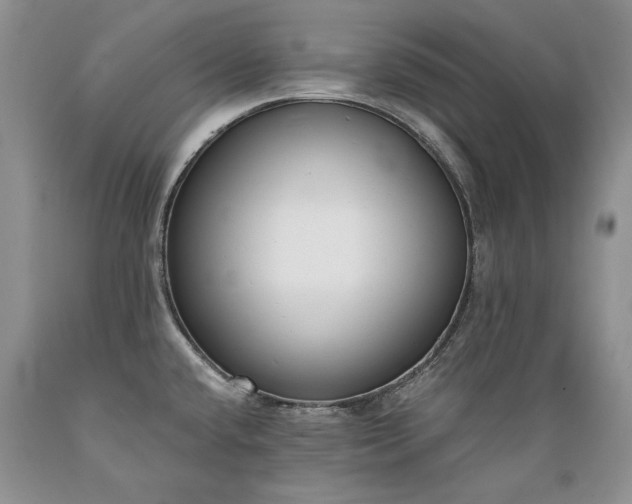 X0000089391432200706221307