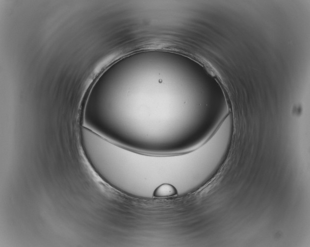 X0000089391434200706221307