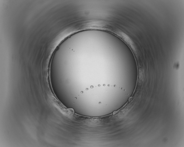 X0000089391435200706221307