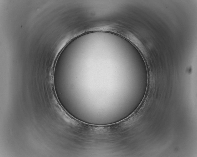 X0000089391436200706221307