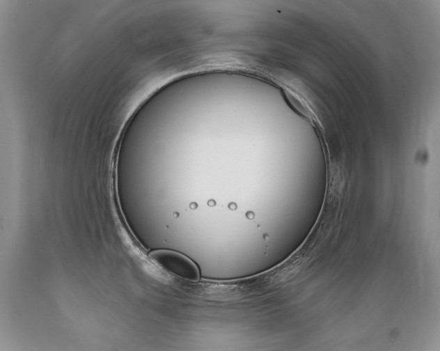 X0000089391439200706221307