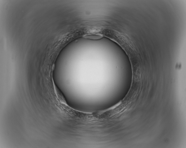 X0000089391441200706221307