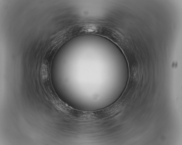 X0000089391442200706221306