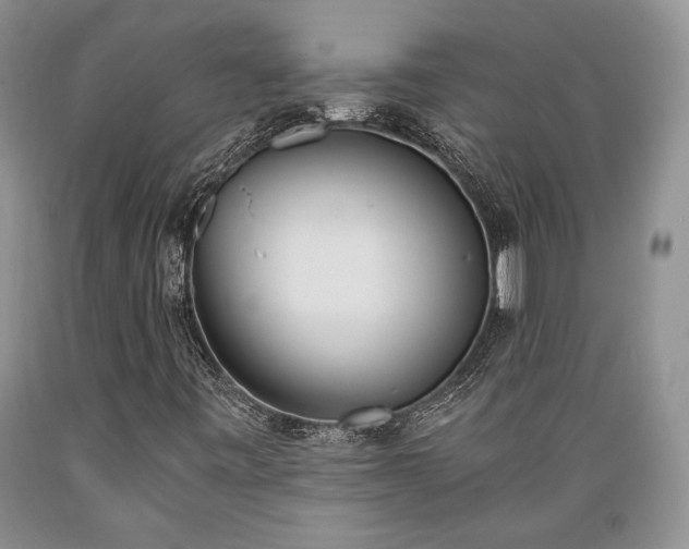 X0000089391443200706221306