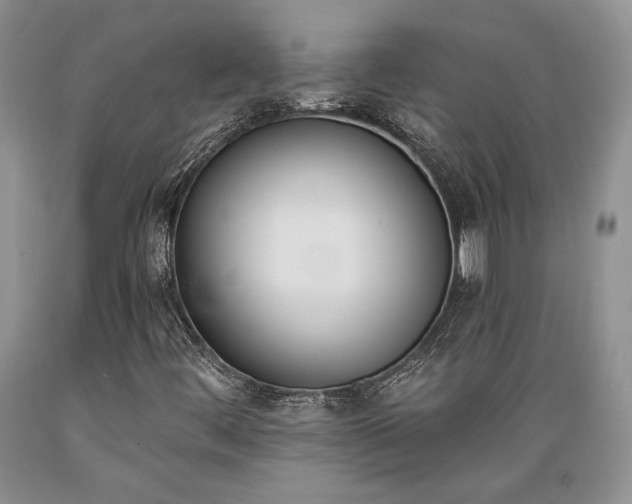 X0000089391444200706221306