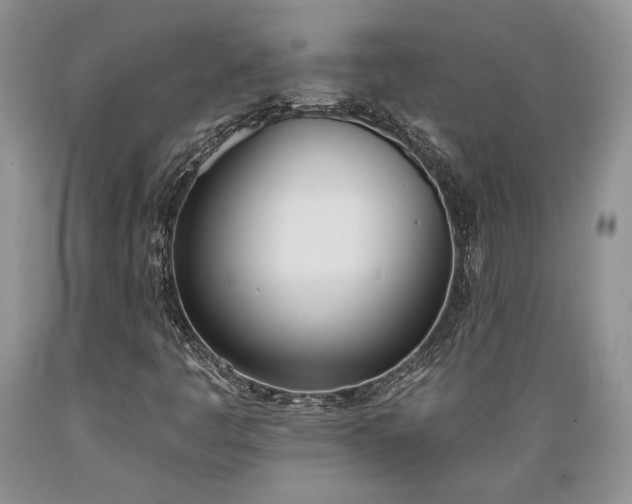 X0000089391445200706221306