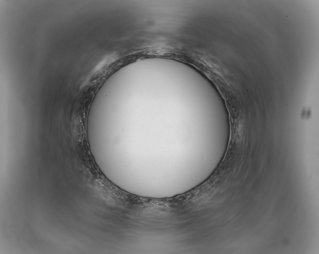 X0000089391446200706221306