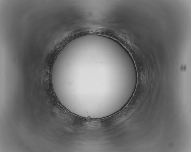 X0000089391447200706221306