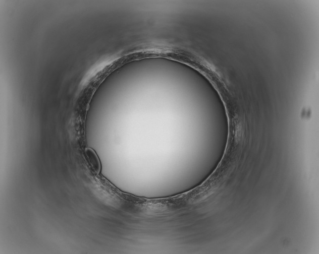 X0000089391448200706221306