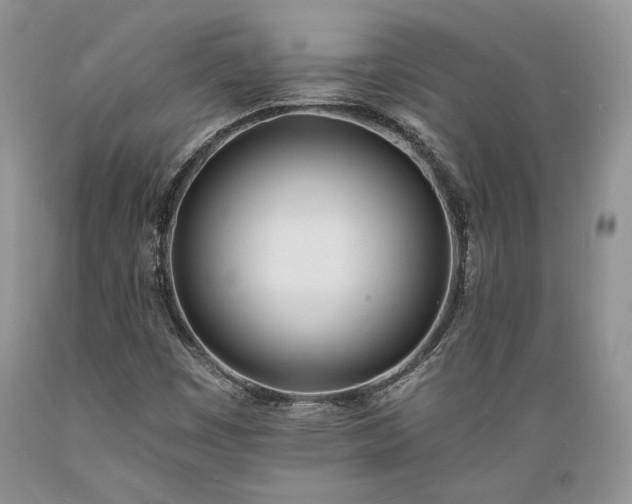 X0000089391449200706221306