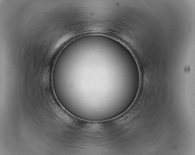 X0000089391450200706221306