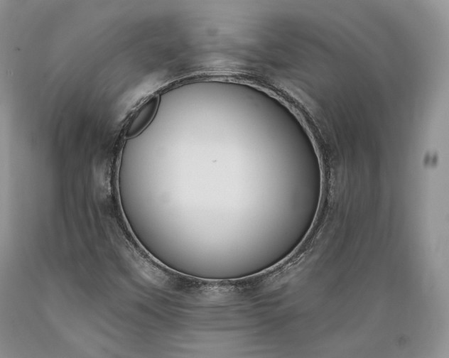 X0000089391451200706221306