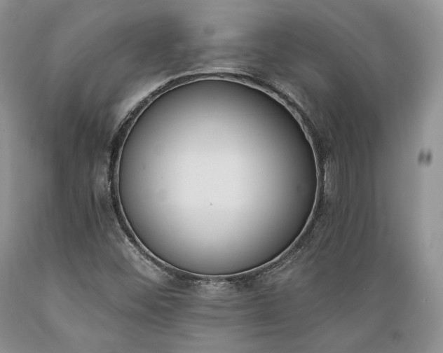 X0000089391452200706221306