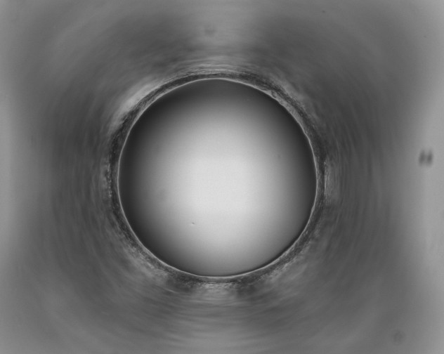 X0000089391453200706221306