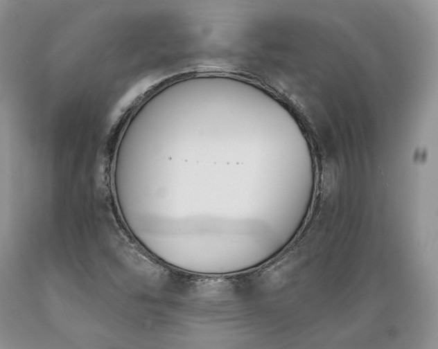 X0000089391454200706221306