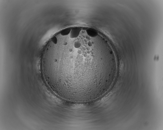 X0000089391455200706221306