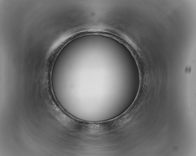 X0000089391456200706221306