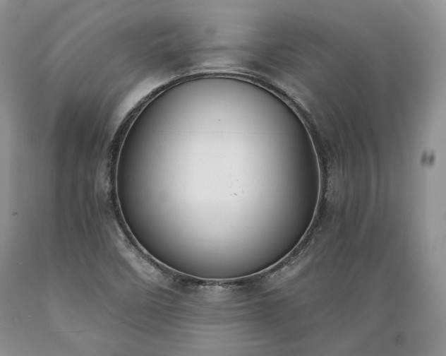 X0000089391458200706221306