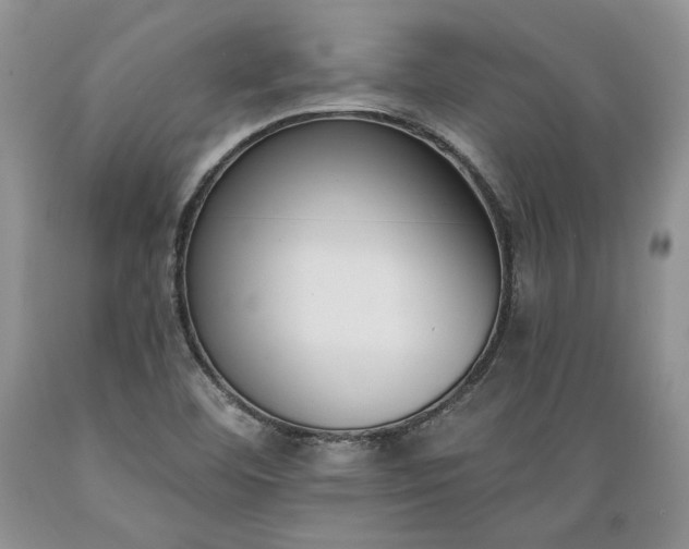 X0000089391460200706221306