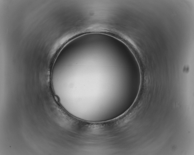 X0000089391461200706221306