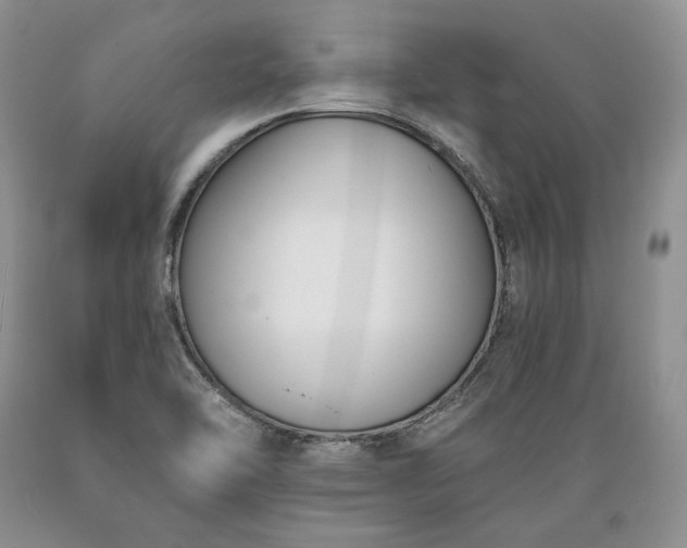 X0000089391462200706221306