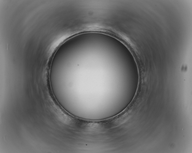 X0000089391463200706221306