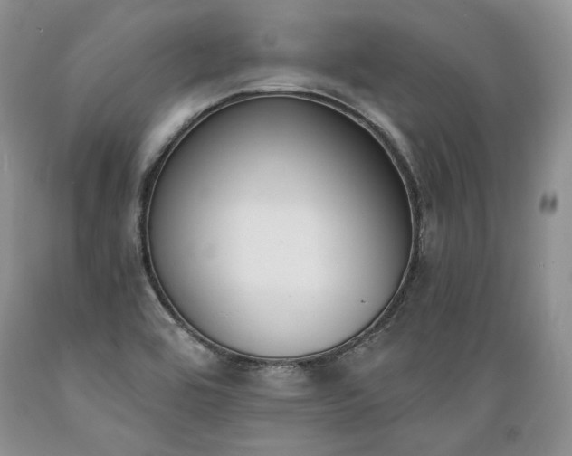 X0000089391464200706221306