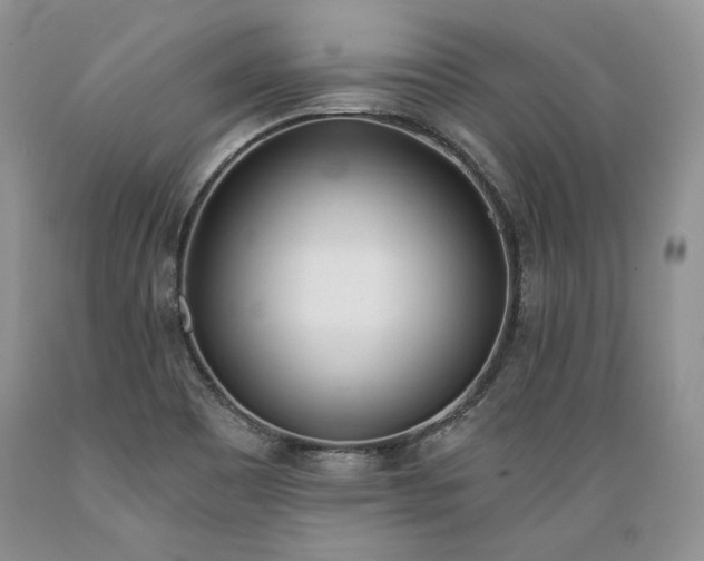X0000089391465200706221306