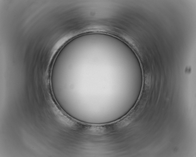X0000089391466200706221306