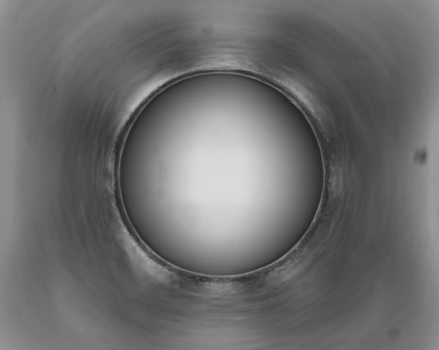 X0000089391468200706221306