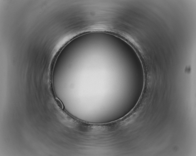 X0000089391469200706221306