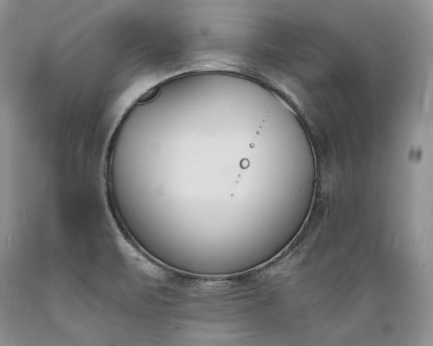 X0000089391471200706221306