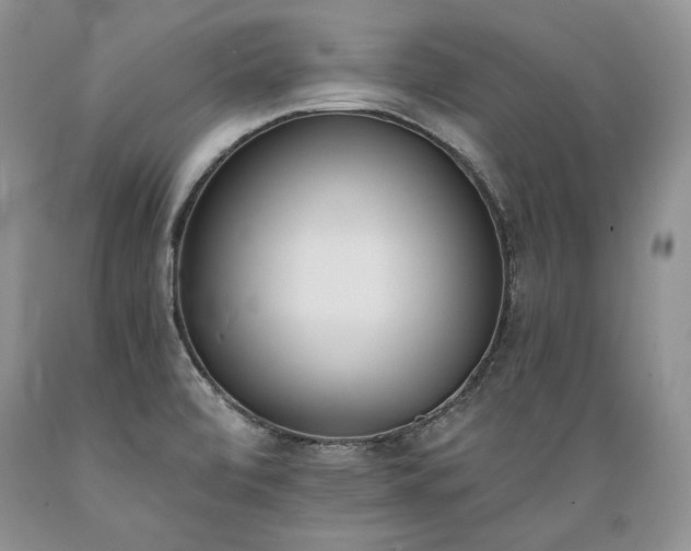 X0000089391472200706221306