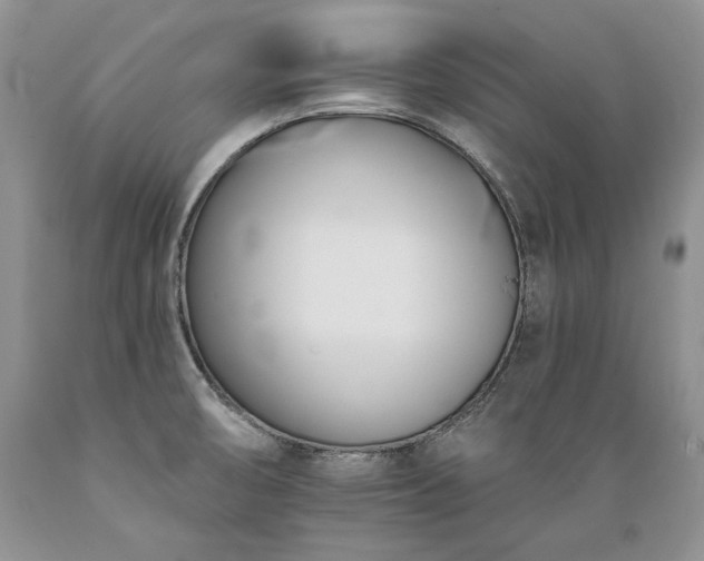 X0000089391474200706221306