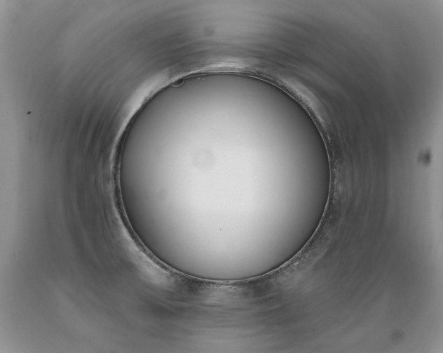 X0000089391475200706221306