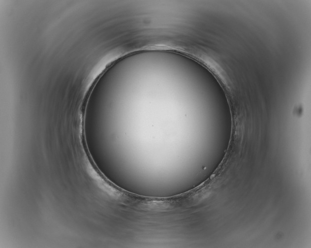 X0000089391476200706221306