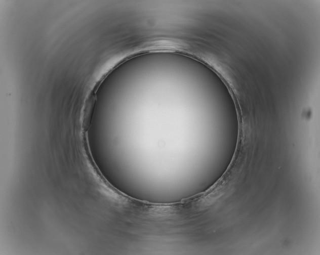 X0000089391477200706221306