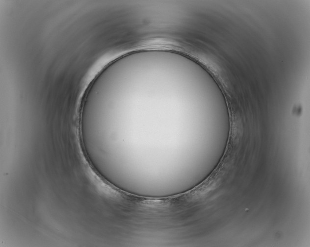 X0000089391478200706221306