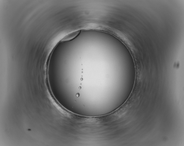 X0000089391479200706221306