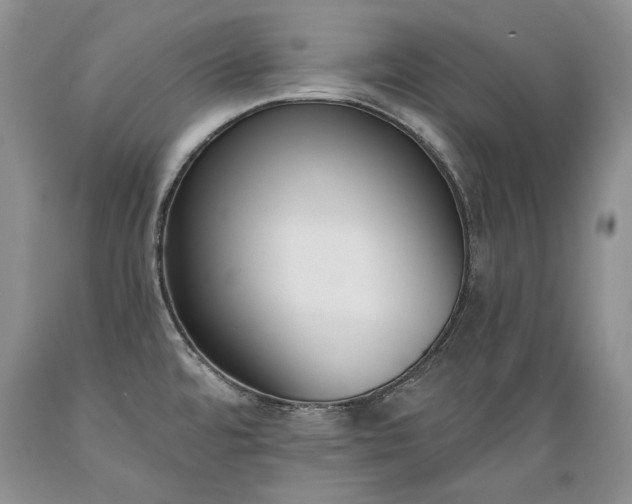 X0000089391480200706221306