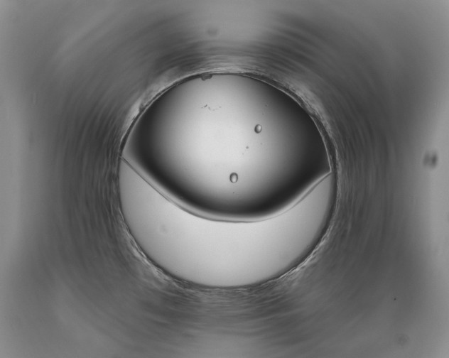 X0000089391481200706221306
