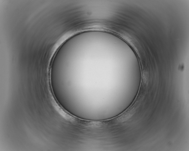 X0000089391482200706221306