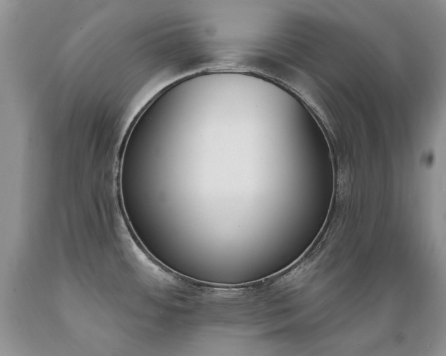 X0000089391484200706221306