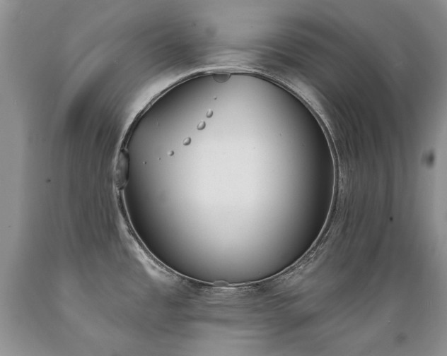 X0000089391485200706221306